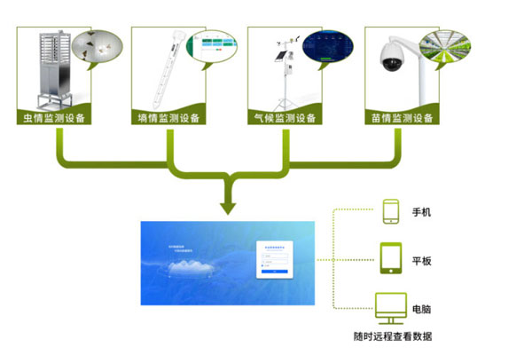 農業四情監測系統解決方案